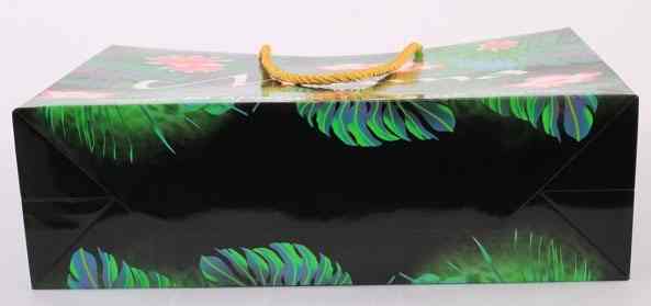 手(shǒu)提袋/紙袋