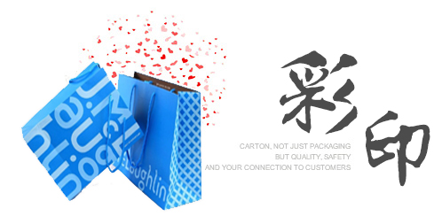 西安正华(hua)芯片制造有限公(gōng)司(急速版)服務